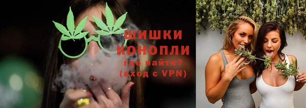 прущие грибы Михайлов