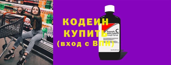 индика Баксан