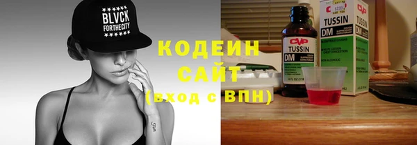 индика Баксан