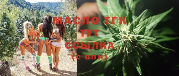 индика Баксан