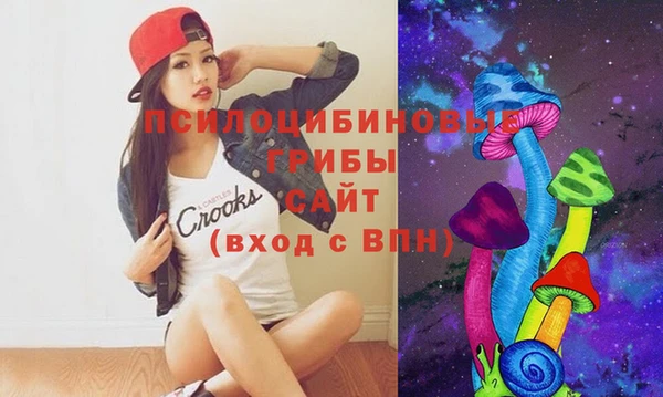 дмт Балахна
