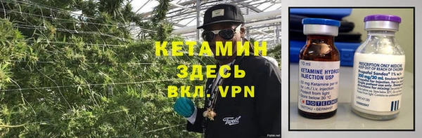 прущие грибы Михайлов