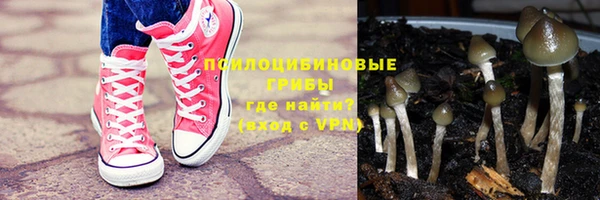 дмт Балахна