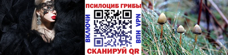 Псилоцибиновые грибы прущие грибы  где купить   Могоча 